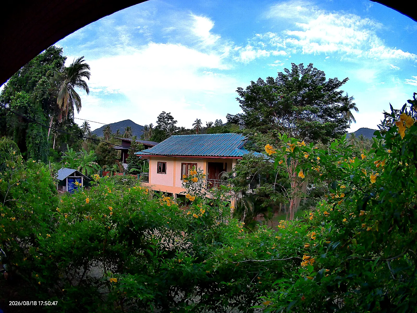 Garden Bungalow A